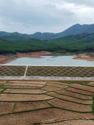 z5270971539590_db238220ce5961c55d3f8f6804268513_4dc6b