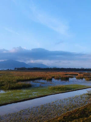 z5803108854806_6e503e0943057afabb21e4581fbec9ca_31a7b