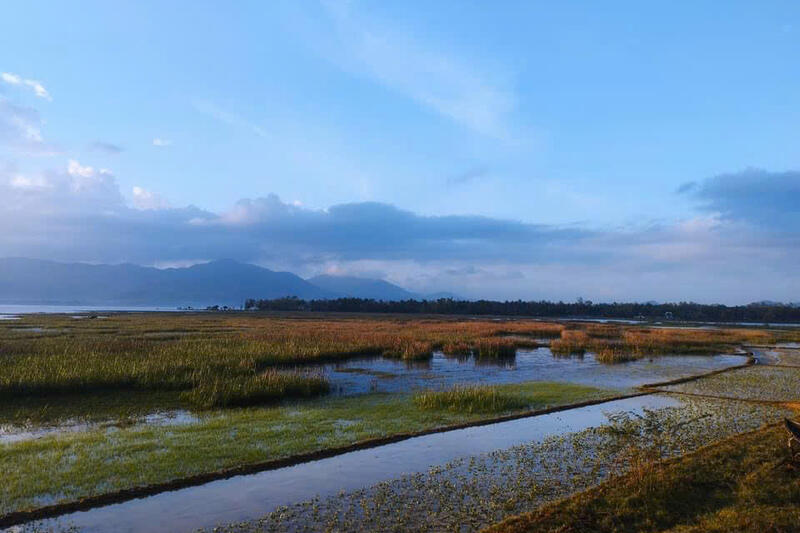 quê hương